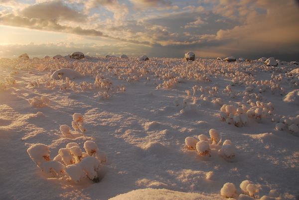 ΔΗΜΟΣ ΣΑΜΟΘΡΑΚΗΣ | Η Σαμοθράκη στα λευκά -Tα πρώτα χιόνια του 2012 (Χώρα Σαμοθράκης)