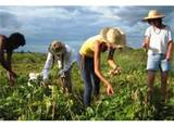 ΔΗΜΟΣ ΣΑΜΟΘΡΑΚΗΣ | Σεμινάριο για αγρότες και νέους καλλιεργητές στη Σαμοθράκη